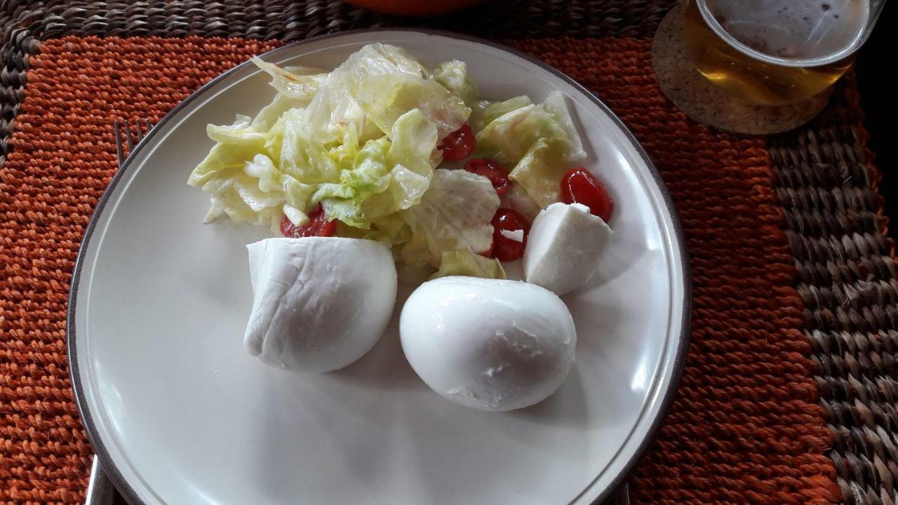 카스텔델몬테 I Lari Castel Del Monte B&B 외부 사진